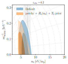 WDM constraints